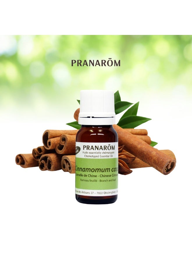 PRANAROM Pranarôm Essential Oil China Cinnamon (Cinnamomum cassia) 10 ml - Image 3